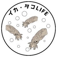 ももいか (@momoika_t) 's Twitter Profile