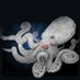 The Cephalopod (@thecephalopodca) Twitter profile photo The Cephalopod (@thecephalopodca) Twitter profile photo