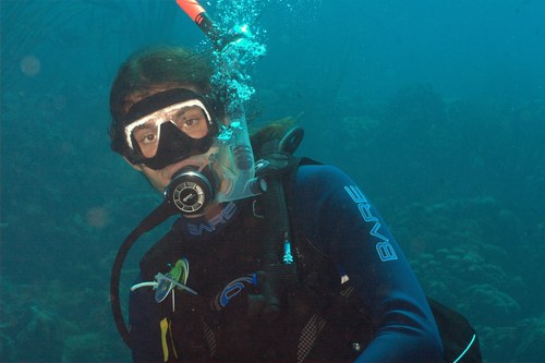 FWestmijze's profile picture. 