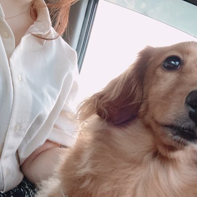実さんのプロフィール画像