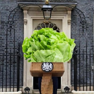 The official Lettuce that defeated Liz Truss. Lettuce all unite and Romain true to ourselves. The new political heavy weight on the scene.