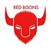 RedBisons VEXrobotics (@RedBisons_VEX) Twitter profile photo