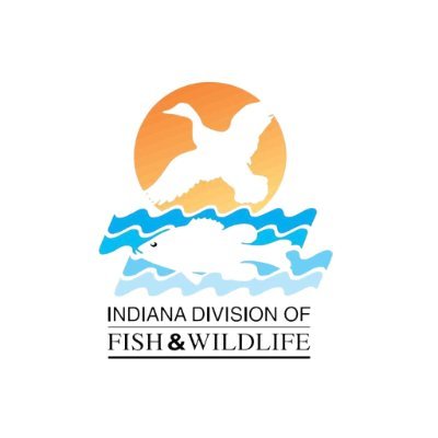 Official page of the Indiana DNR Division of Fish & Wildlife. Have questions? Email us at dfw@dnr.IN.gov. #HuntIndiana #FishIndiana #WildIndiana 🎣