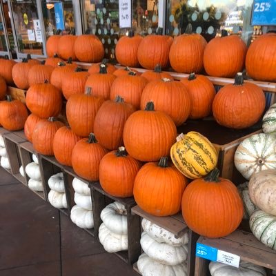 guobao1122's profile picture. 一个正常人，投奔美国，TMD,现在被搞得快不正常了