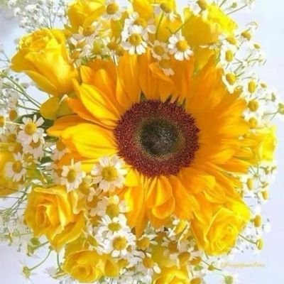 jaydee0_0's profile picture. My life, My choices, My problems, My mistakes, My lessons. Not your business, mind your own problems before you talk about mine!