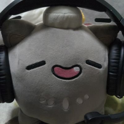 犬宮かずはさんのプロフィール画像
