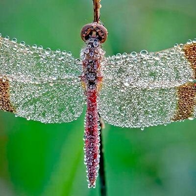 barana378's profile picture. 