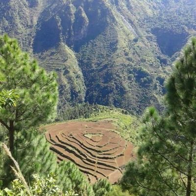 DrPankajKumarT1's profile picture. Health and education for all Indians should be free .
 जागरूक  वोटर। 
जिसको न निज जाति,धर्म व देश पर अभिमान हो
वह नर नहीं पशु सदा ,और मृतक समान है ।।