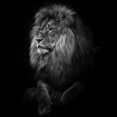 88HAZEM88's profile picture. 
