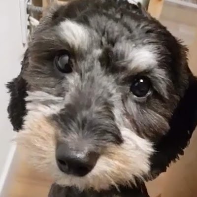 babiseu1's profile picture. 