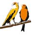 LECD Nanterre (@lecdnanterre) Twitter profile photo LECD Nanterre (@lecdnanterre) Twitter profile photo