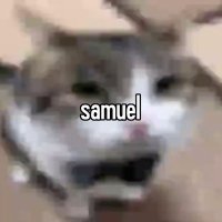 Samuel(@ShmuelBrain) 's Twitter Profile Photo