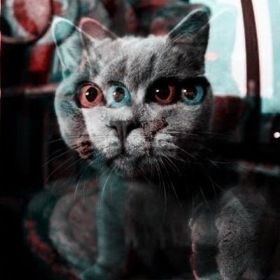 andrij_boris's profile picture. 