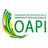 OAPI(@OAPI_TWIT) 's Twitter Profile Photo