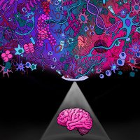 Yale Neurogenomics (@ysmneurogenomic) 's Twitter Profile