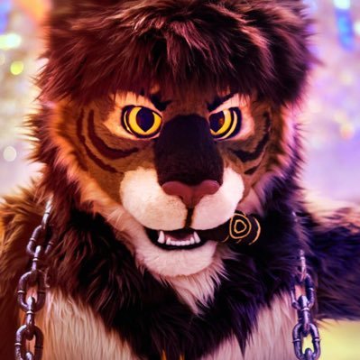 MazeTheLion Profile Picture