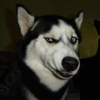 Conan (@c59485128) Twitter profile photo