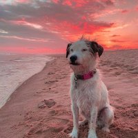 stretchen gretchen (@ajbennie12) Twitter profile photo