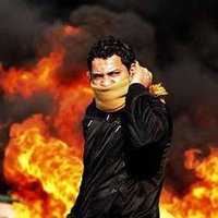 الحكمدار الثوري (@tf8825) 's Twitter Profile Photo