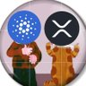 DannyPope's profile picture. Oxygen consumer, 2 x Arms, 2 x Legs, 1 x Head....... #Music #Sport #Cryptocurrency