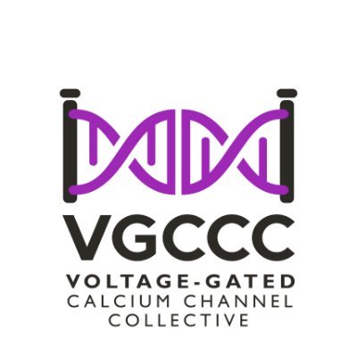 The VGCCC is dedicated to raising awareness and promoting collaboration across the voltage-gated calcium ion channelopathies.