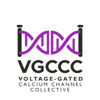 TheVGCCC(@TheVGCCC) 's Twitter Profile Photo
