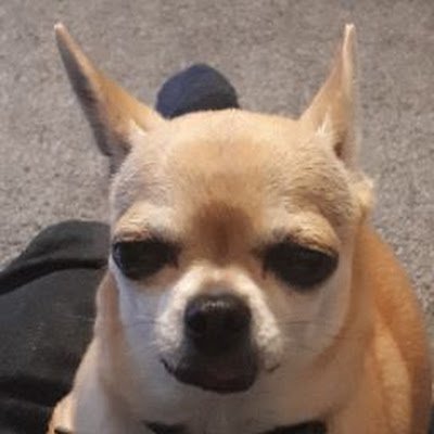 danielsalkeld9's profile picture. 