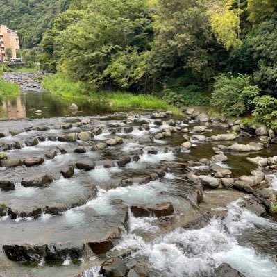 genkaiwater's profile picture. 