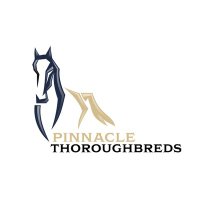 Pinnacle Thoroughbreds(@PinnacleTbreds) 's Twitter Profile Photo