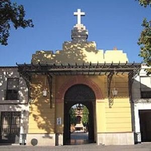 YOoOEeEL's profile picture. 