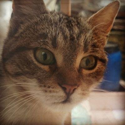 Nurcannnss's profile picture. 