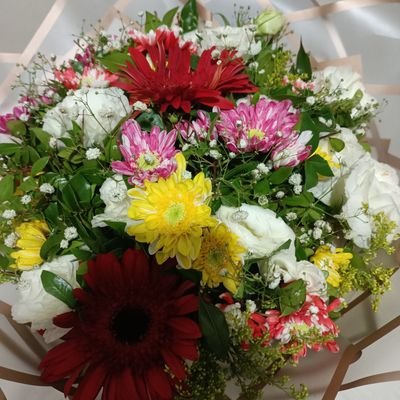 AkyaylaBediha's profile picture. 