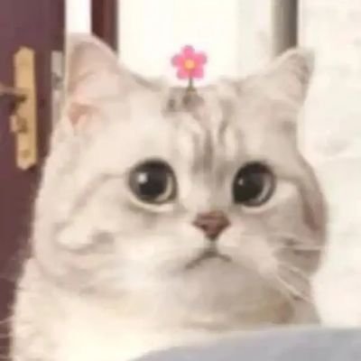 6niubi9's profile picture. 