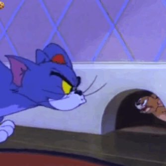 Woohsw's profile picture. 放轻松 慢慢升空