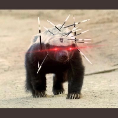 Yetisen40's profile picture. Free your mind Neo!