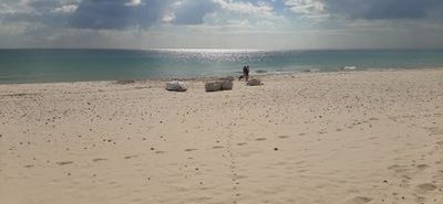 MouradRomdhane's profile picture. 