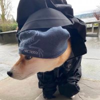 bitch made man core (@rippsquadd) 's Twitter Profile