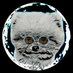 Rojito (@rojo_el_editor) Twitter profile photo Rojito (@rojo_el_editor) Twitter profile photo