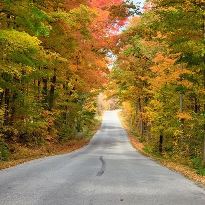 Falconconst's profile picture. 