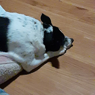 Peighton_k11's profile picture. 