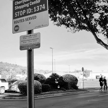 theelmaklein's profile picture. Greenville resident (she/her)