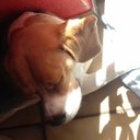 Sandra Rath - @SandraRath6 - Twitter