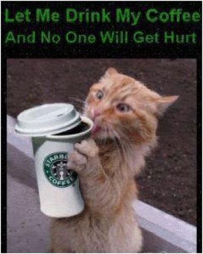 AlienAngelxxx's profile picture. 