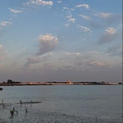 AlsadiqSausan's profile picture. 