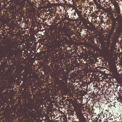 KalejaiyeOreol1's profile picture. I CAN!