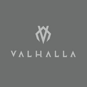 Twitter oficial da divisão de Esportes Eletrônicos da Valhalla | LOL , Wild Rift, Free Fire