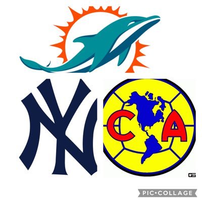Lawyer as my profession, but a phin fan by affection, and till I die! #GoPhinssss🐬... also a NYY fan from head to toes! 💣... ah y americanista de corazón!🦅