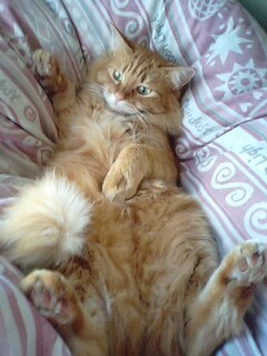 sajyamile's profile picture. 20↑ 映画大好き、コンテンツ厨。今の推しはSnow Man箱推し。Snow Man、マンウィズ、坂本真綾のライブには死んでも行きたいマン。