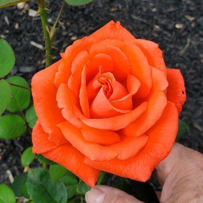 BillJoh82588947's profile picture. 