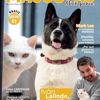 La Revista de las Mascotas.! primer lugar en Colombia. Encuéntranos en veterinarias y Pets Shop. https://t.co/YKU9c4DtQU